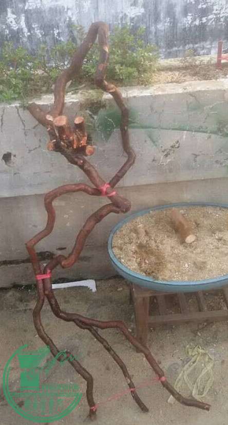 2_.jpg