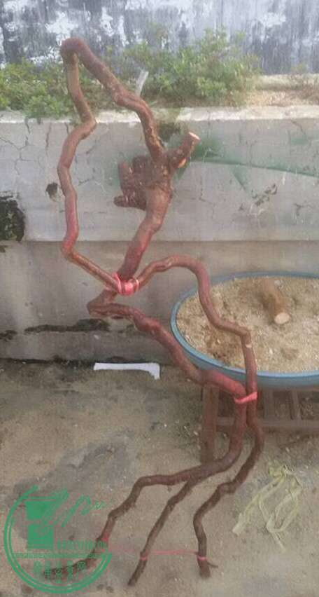 3_.jpg