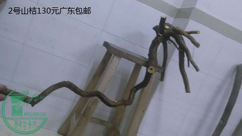 QQͼƬ20151217203141.jpg