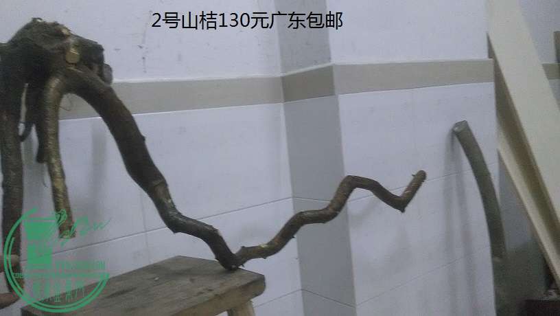 QQͼƬ20151217203145.jpg