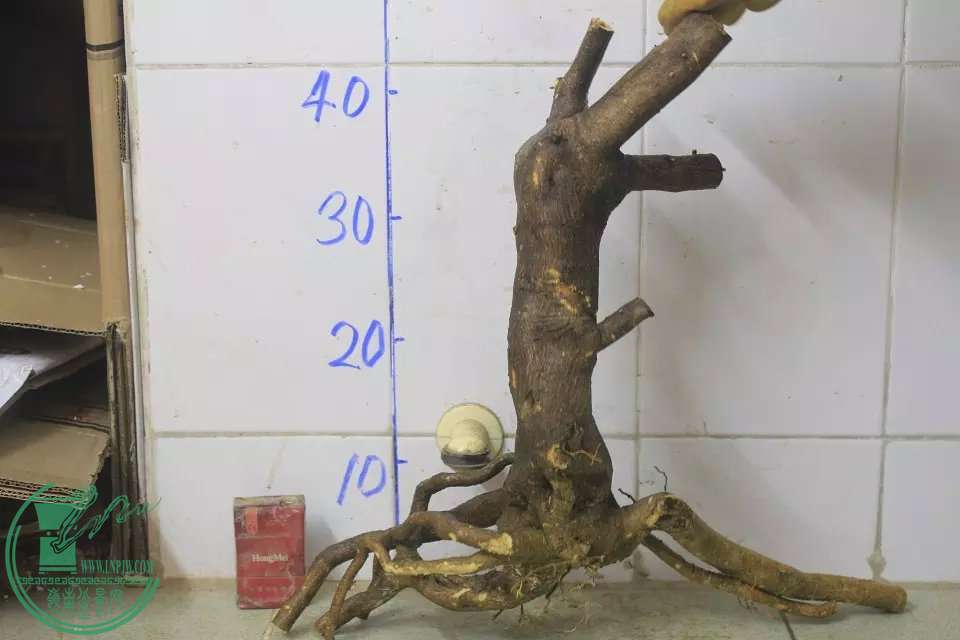 psb (9).jpg