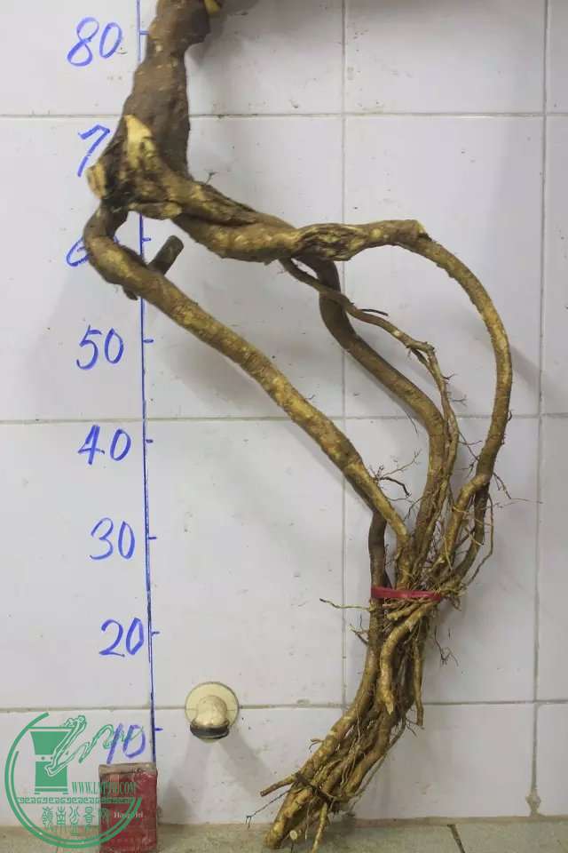 psb (1).jpg