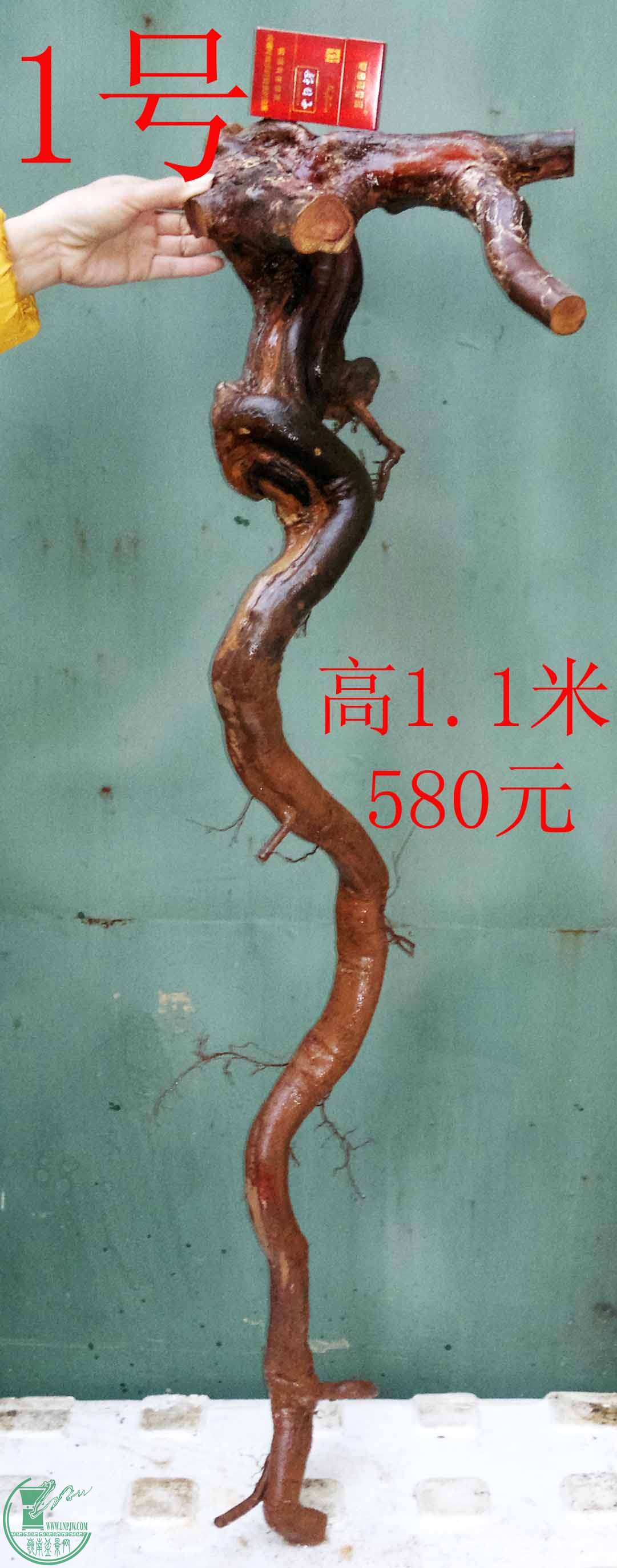 201512185628.jpg