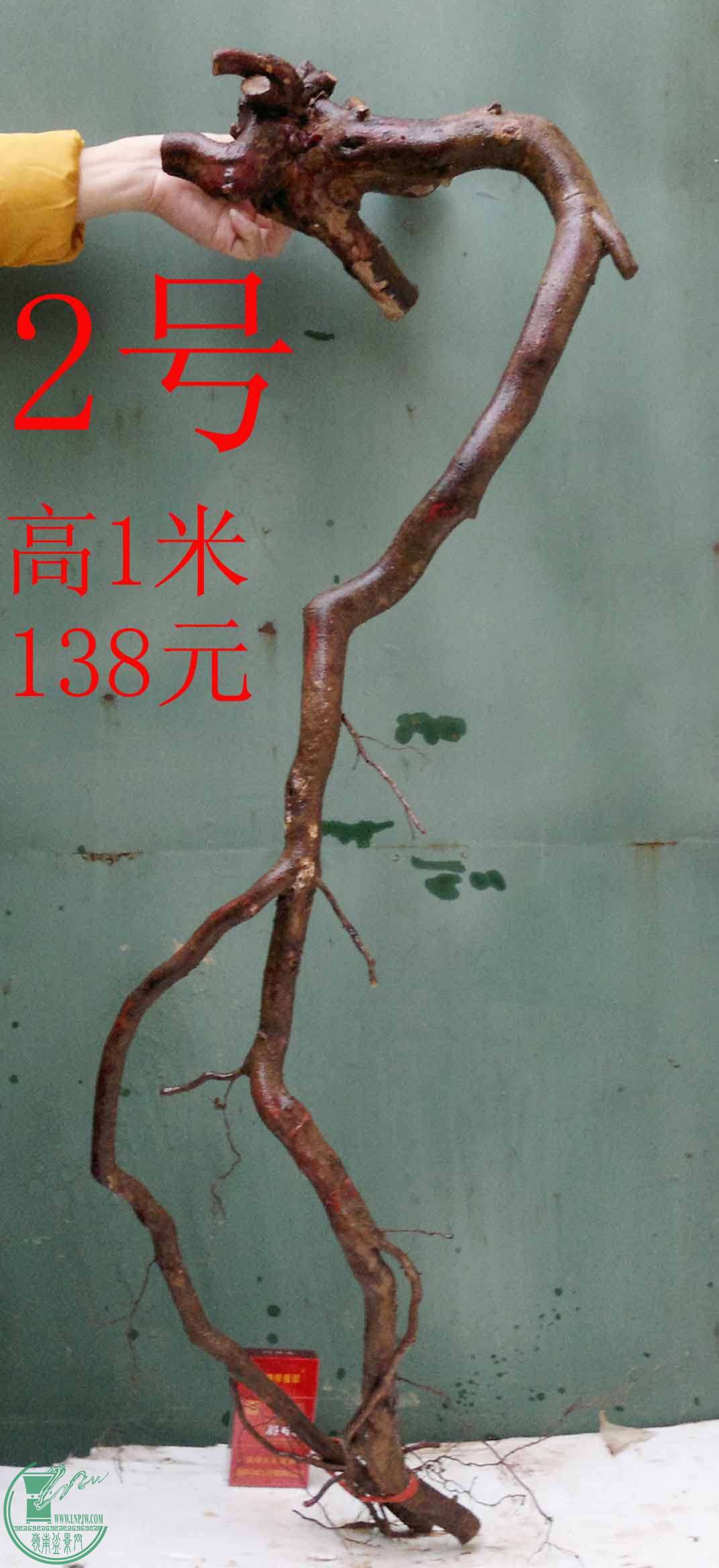 201512185658.jpg