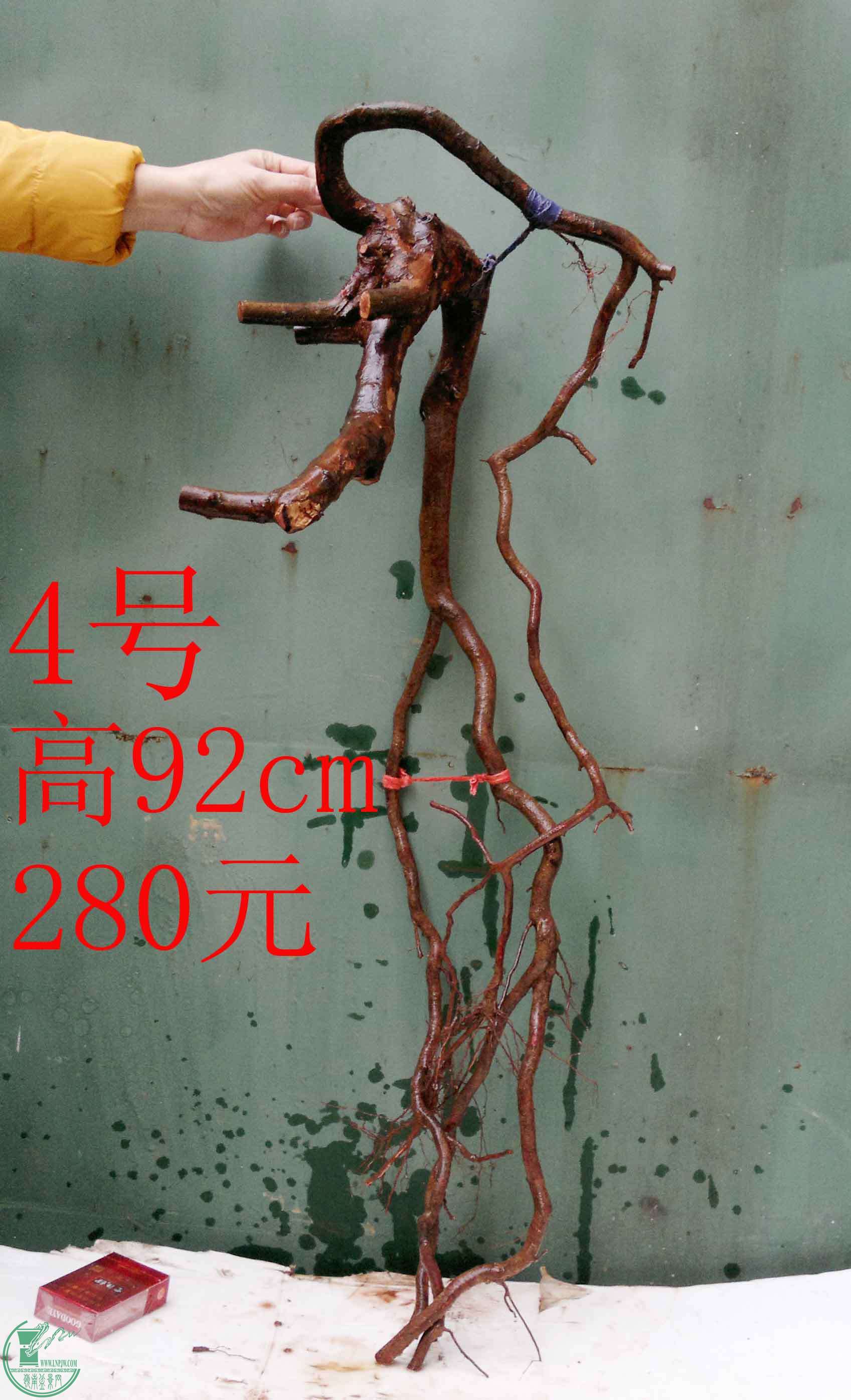 201512185685.jpg