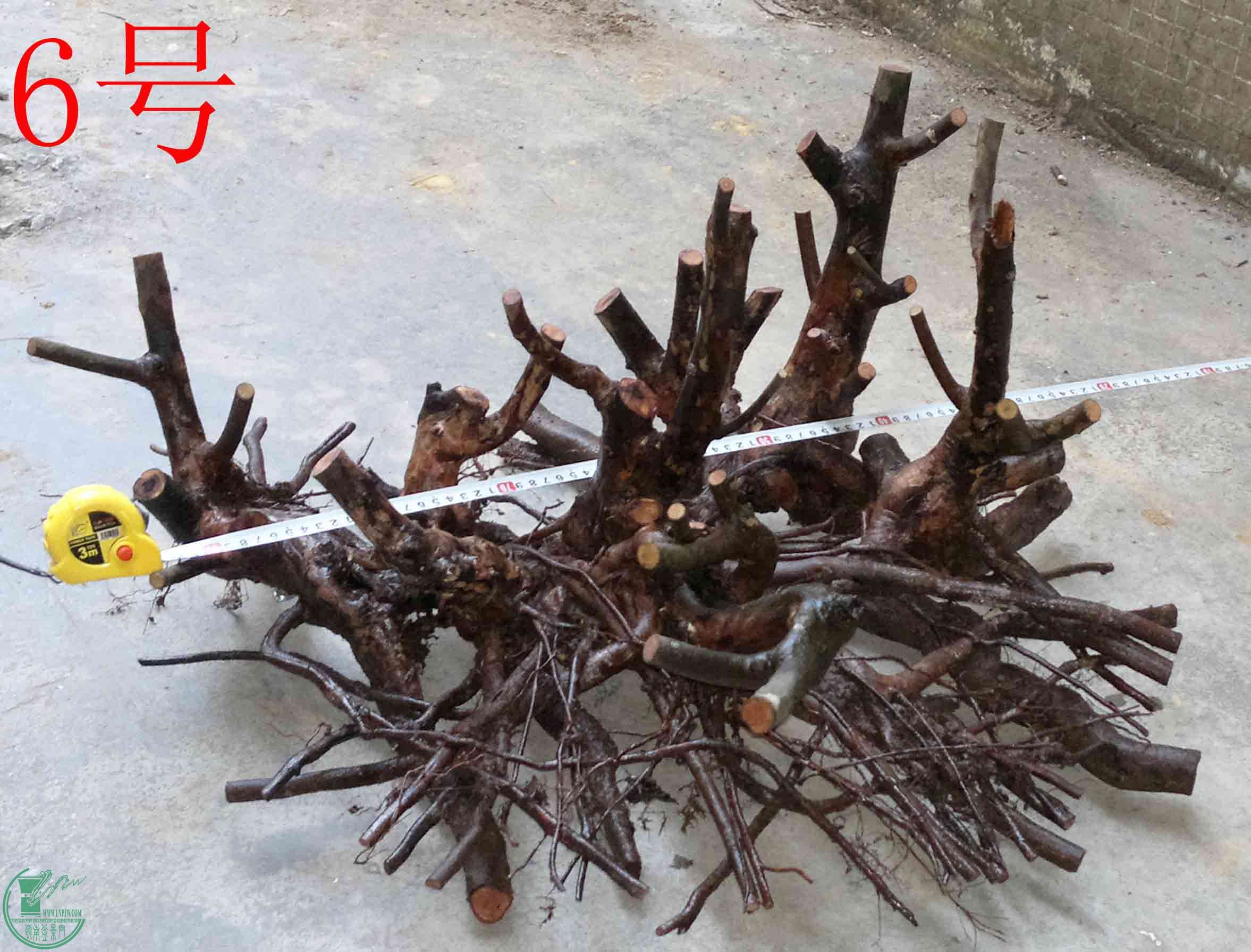 201512185772.jpg