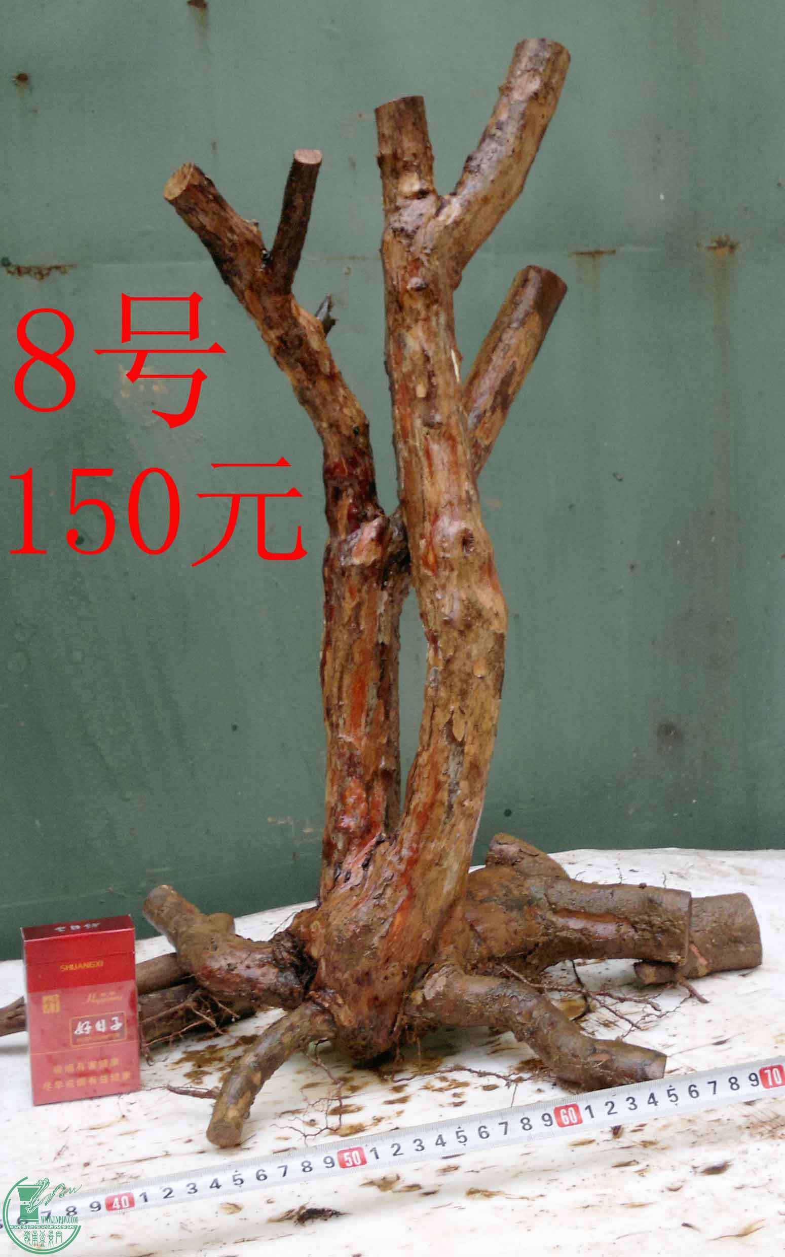 201512185839.jpg