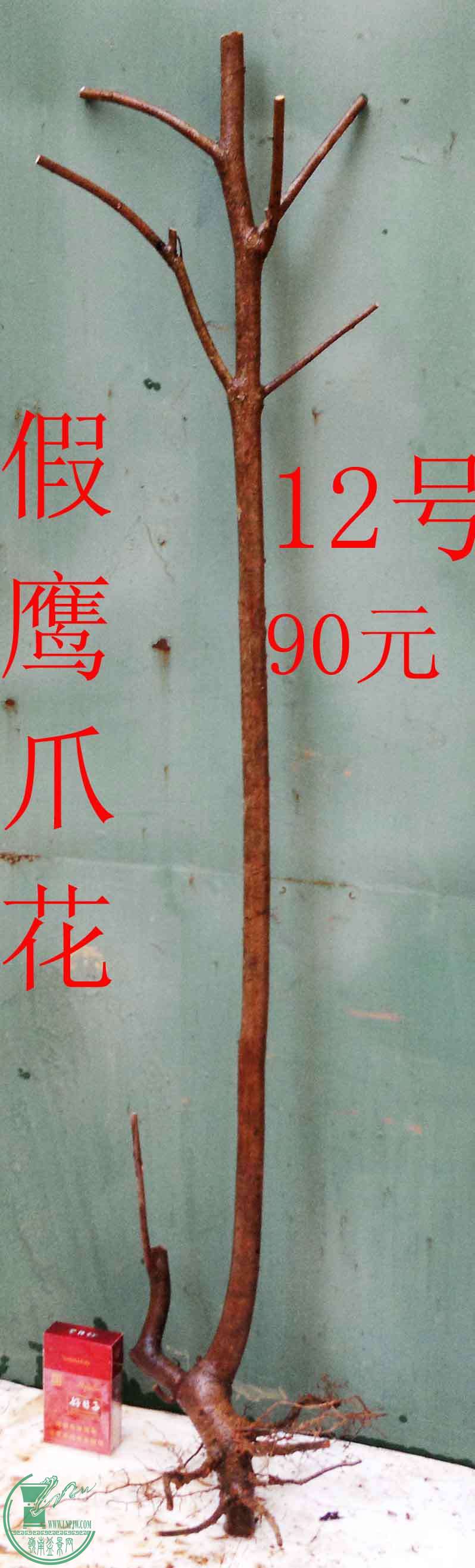 201512185932.jpg