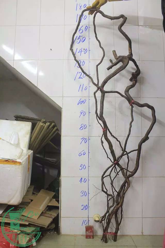 psb (3).jpg