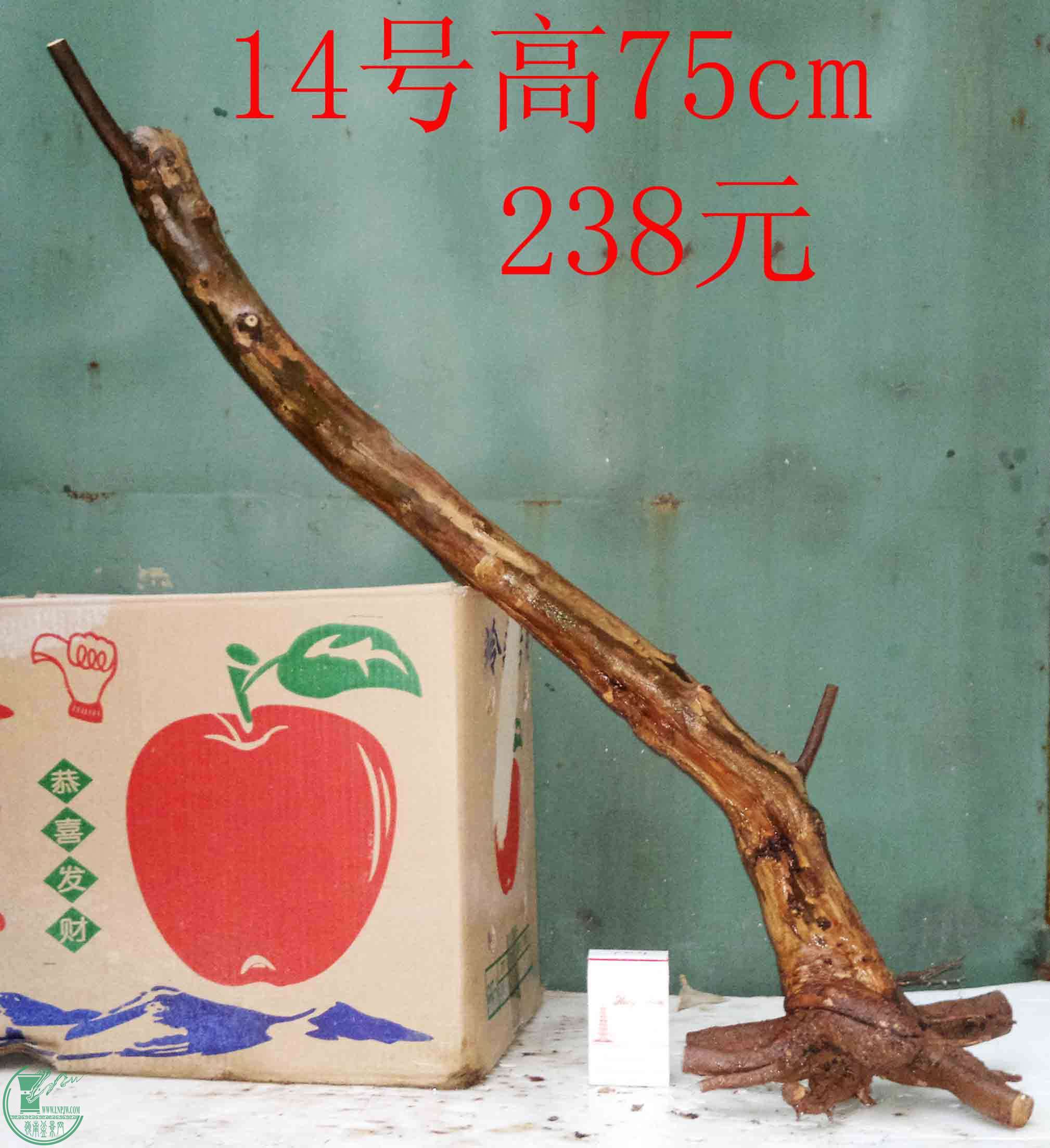 201512185985.jpg