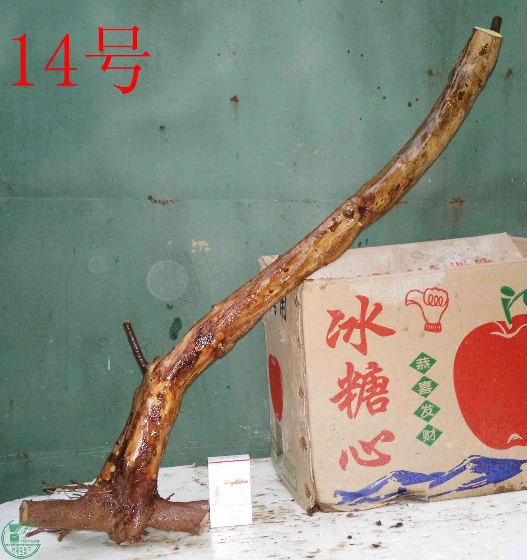 201512186001.jpg