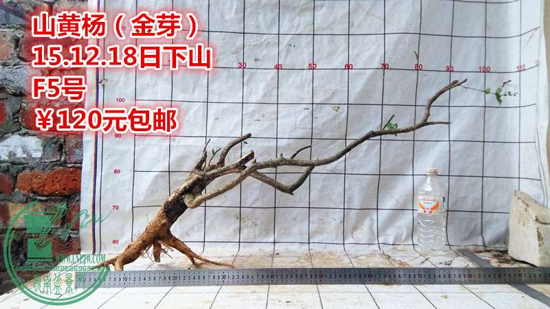 IMG_20151218_171425_.jpg