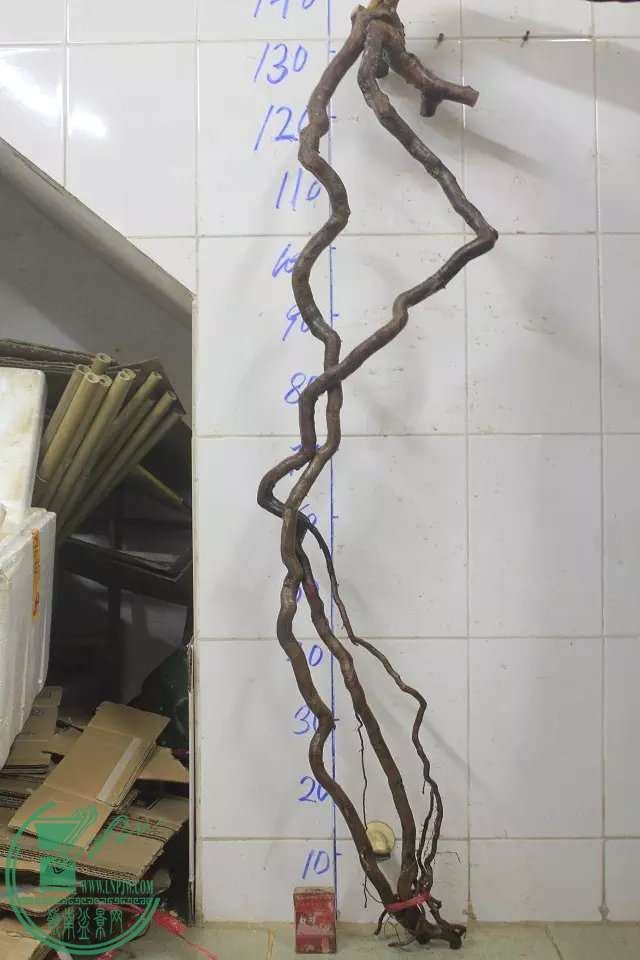 psb (9).jpg