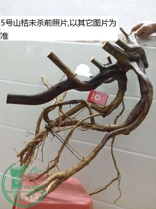 QQͼƬ20151218200627.jpg