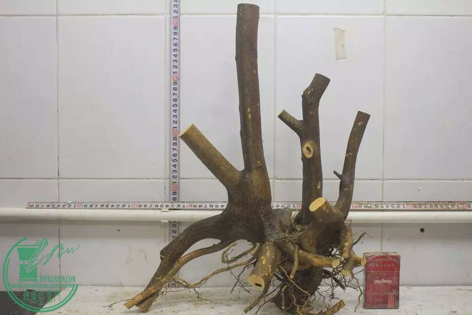 psb (12).jpg