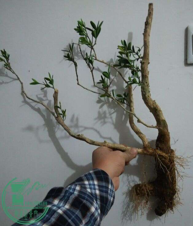 QQͼƬ20151218221122.jpg