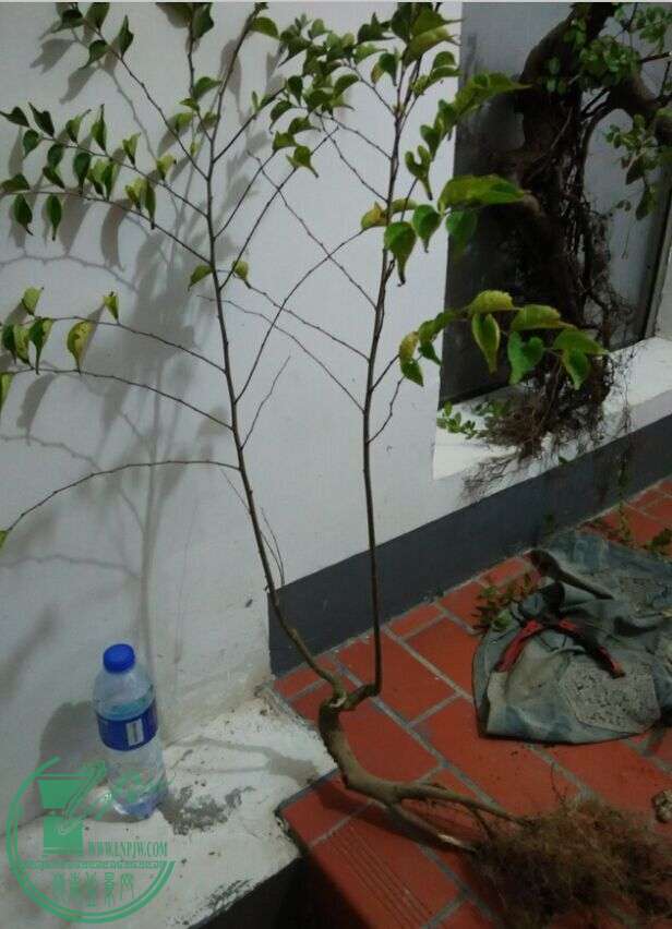 QQͼƬ20151218224106.jpg