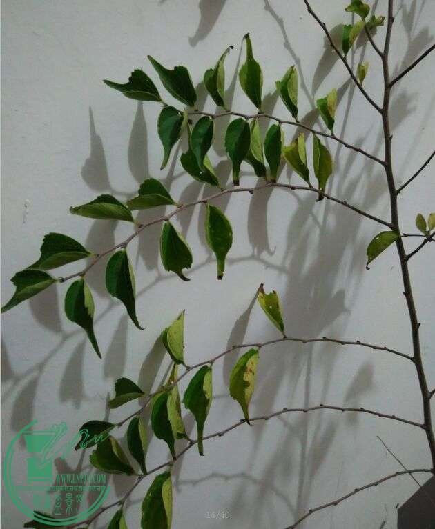 QQͼƬ20151218224145.jpg