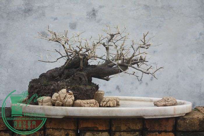 Ƭ20131026ۺ 2346.jpg