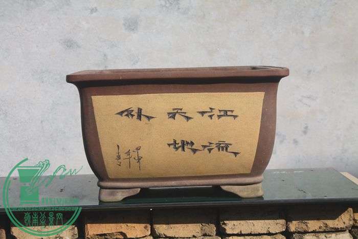 Ƭ20131026ۺ 438.jpg