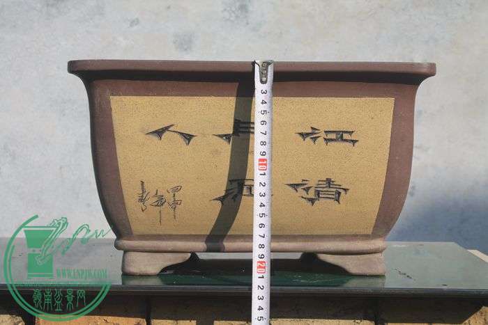 Ƭ20131026ۺ 442.jpg