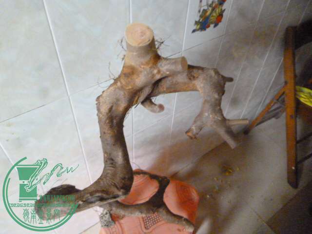 P1150402.JPG