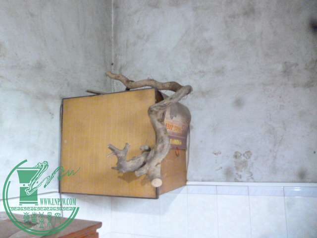 P1150413.JPG