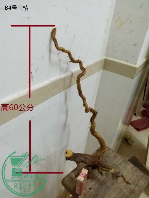 QQͼƬ20151219201557.jpg