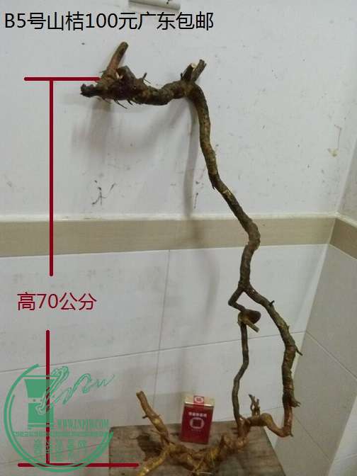 QQͼƬ20151219201553.jpg