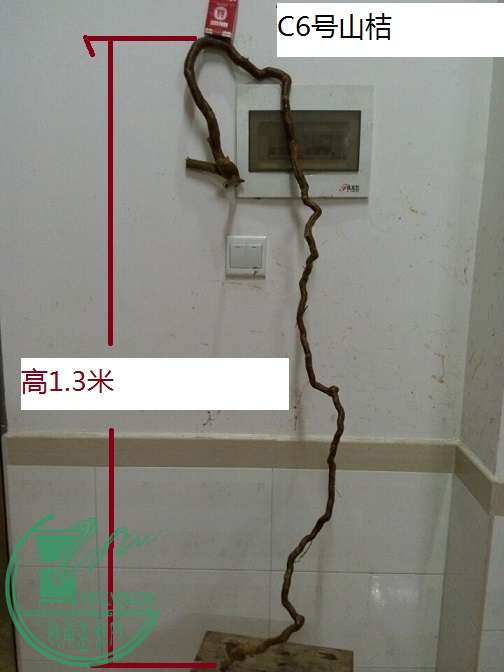 QQͼƬ20151219201610.jpg