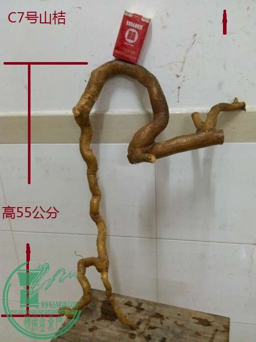 QQͼƬ20151219201624.jpg