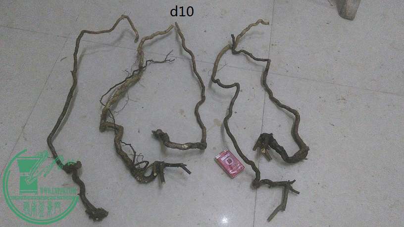 QQͼƬ20151219210559.jpg