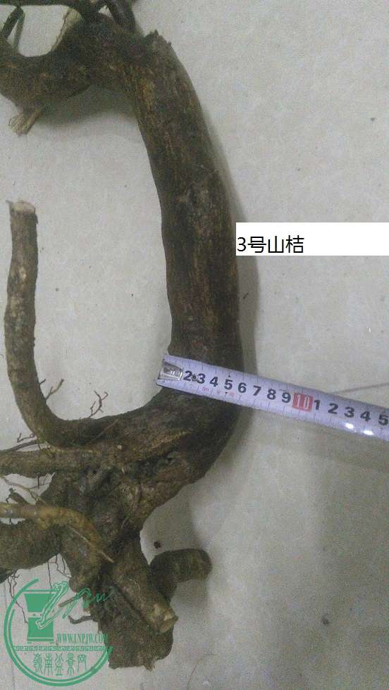 QQͼƬ20151220202056.jpg