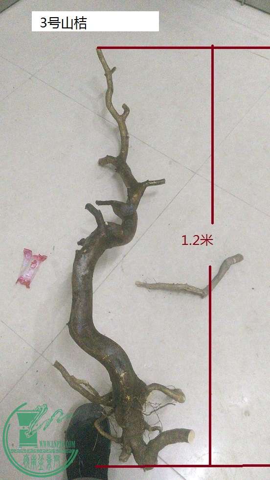 QQͼƬ20151220202103.jpg