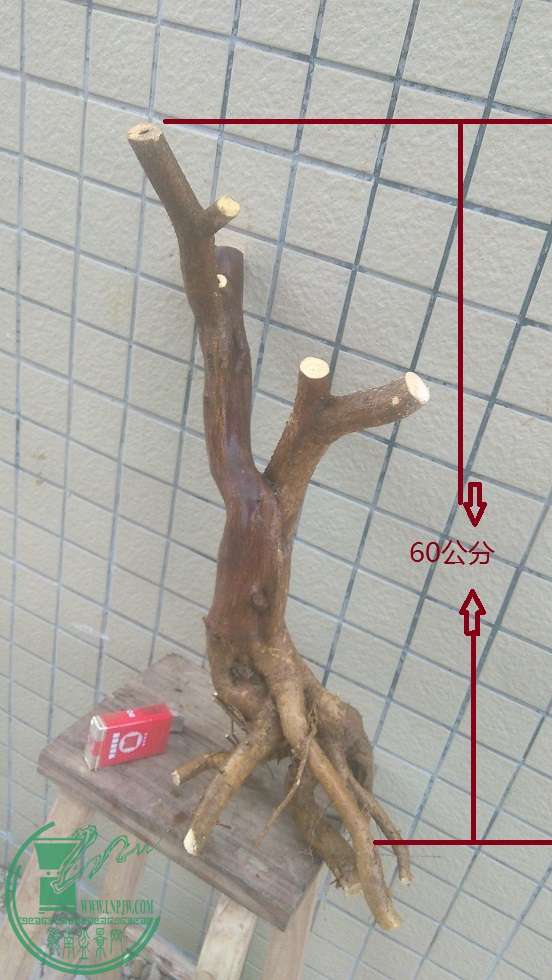 QQͼƬ20151220202349.jpg