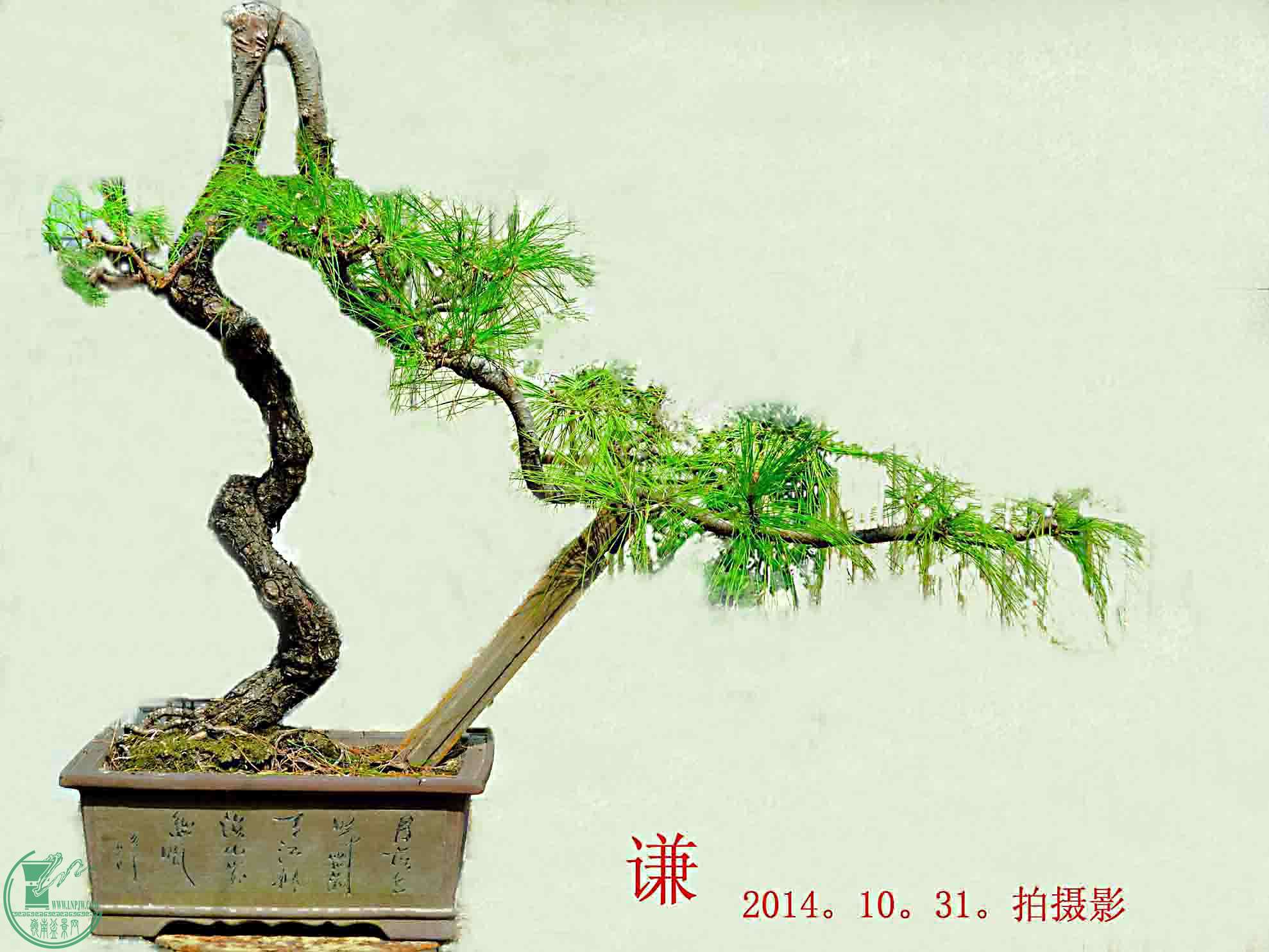 ǫ-ɹ1215.jpg