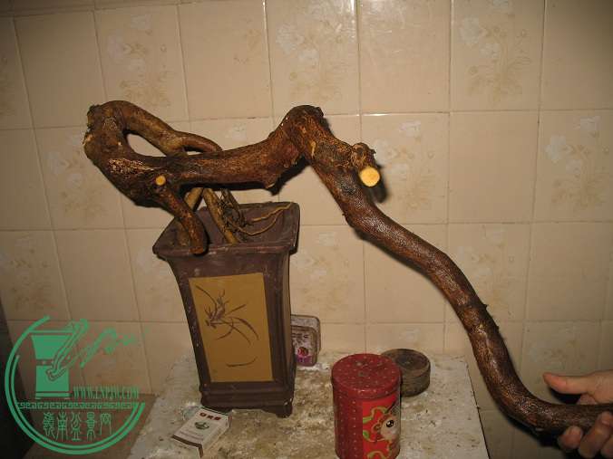 040.JPG