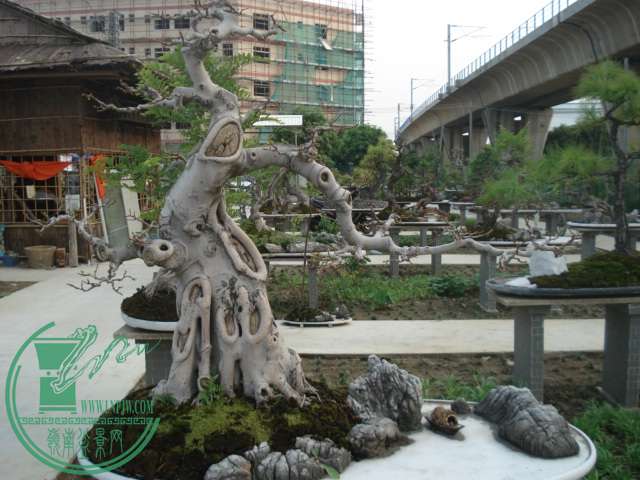 DSC01089.JPG