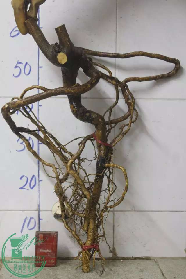 psb (1).jpg
