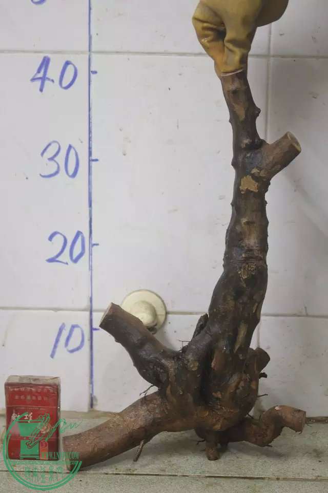 psb (2).jpg