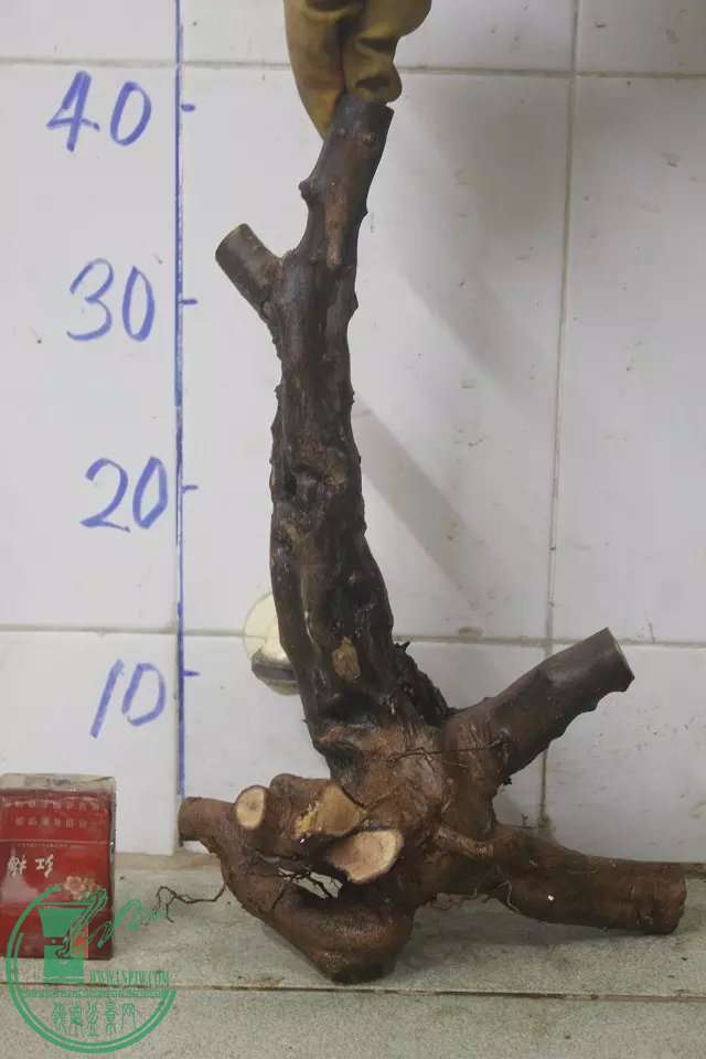 psb (3).jpg