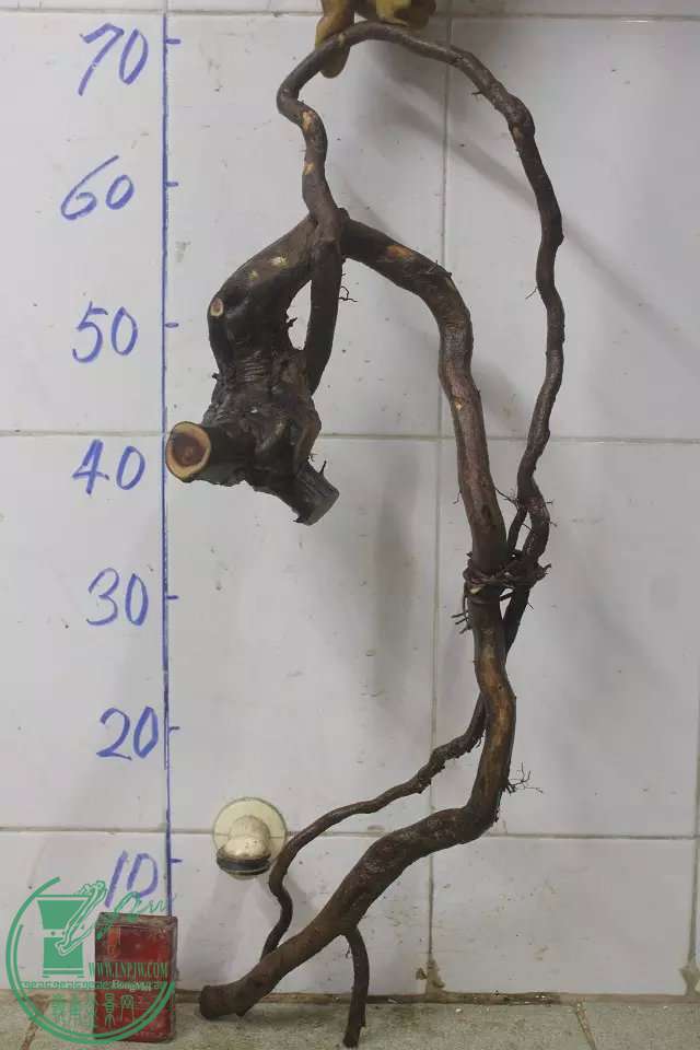 psb (8).jpg