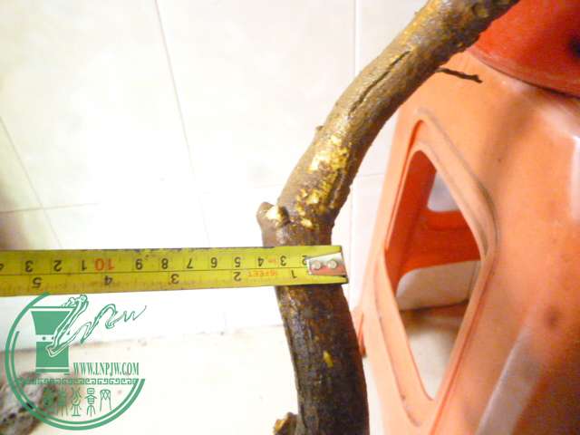 P1150526.JPG