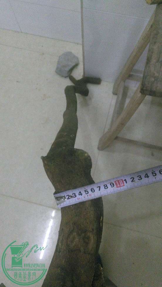 QQͼƬ20151222201112.jpg