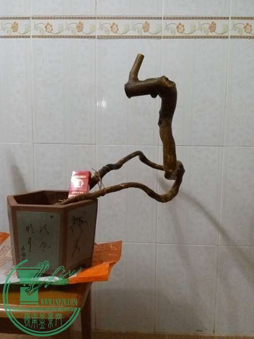 QQͼƬ20151222203719.jpg