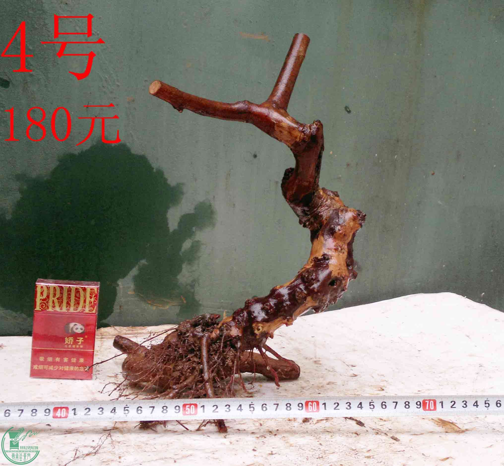 201512236251.jpg