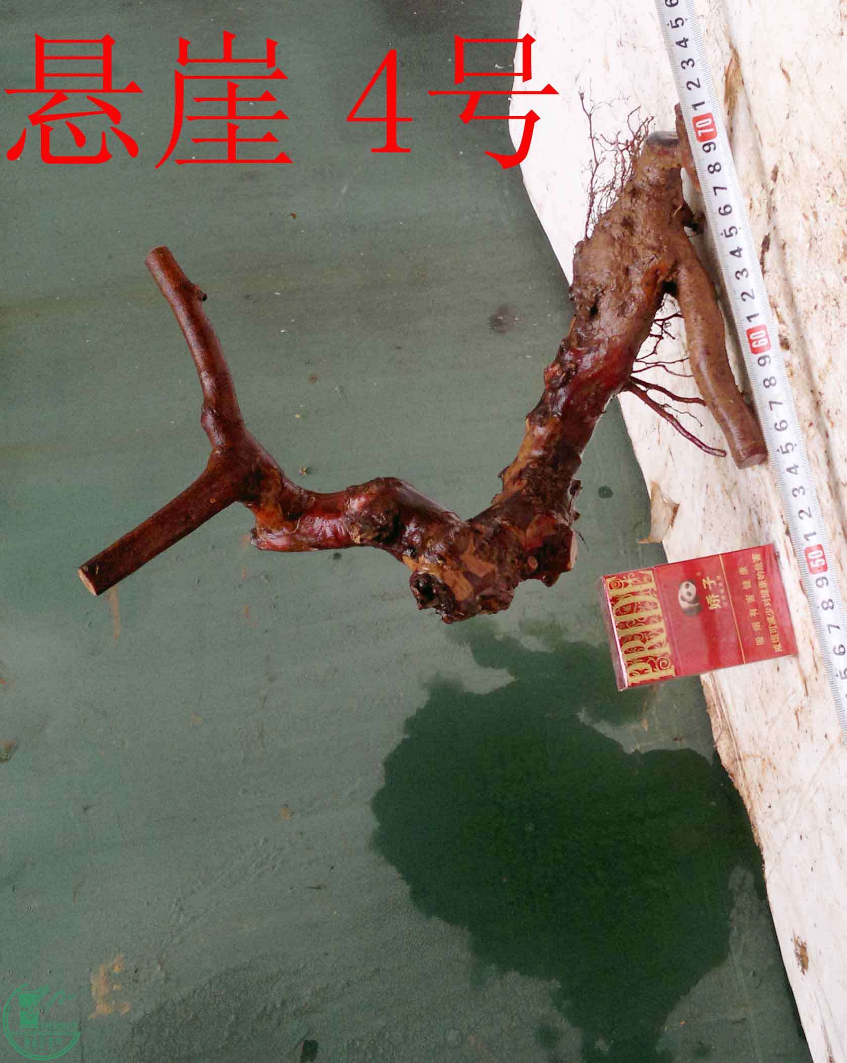 201512236261.jpg