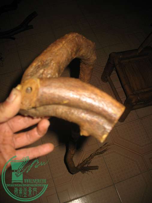 020.JPG