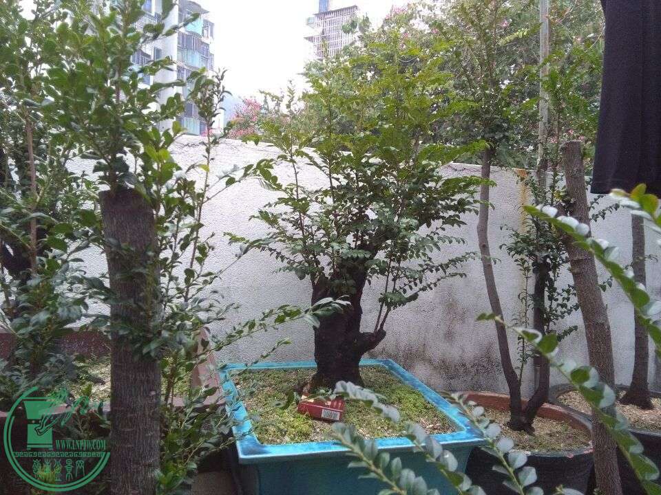 QQͼƬ20151224105529.jpg