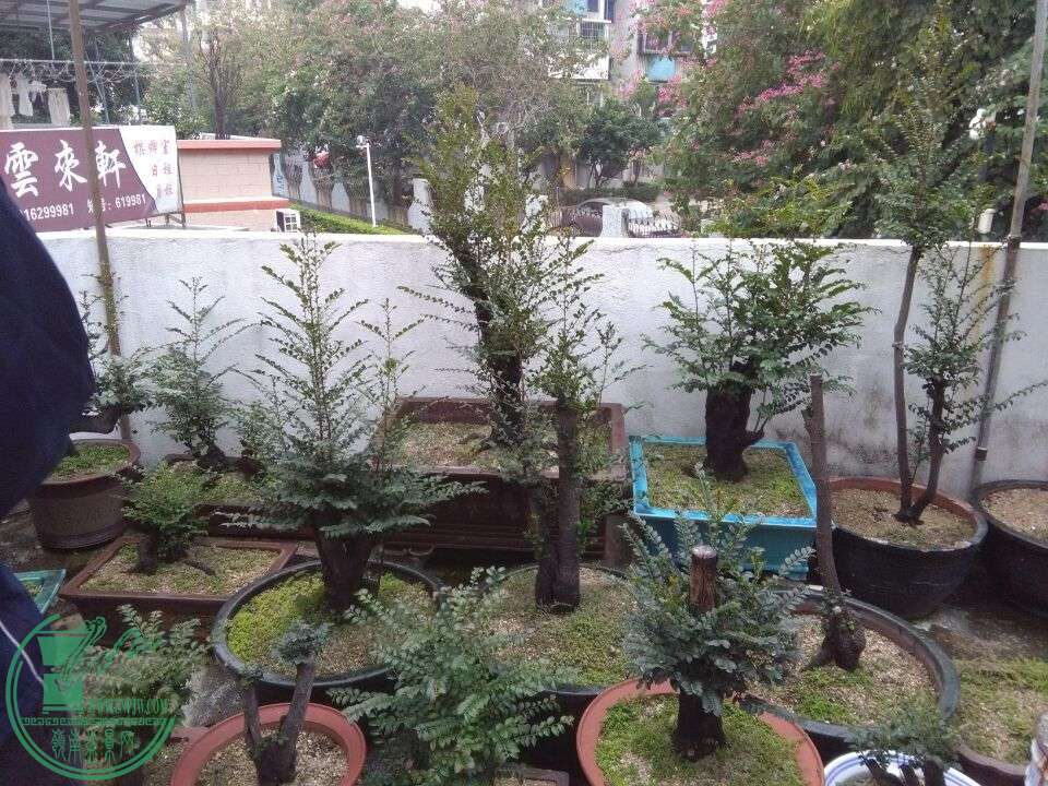 QQͼƬ20151224105506.jpg